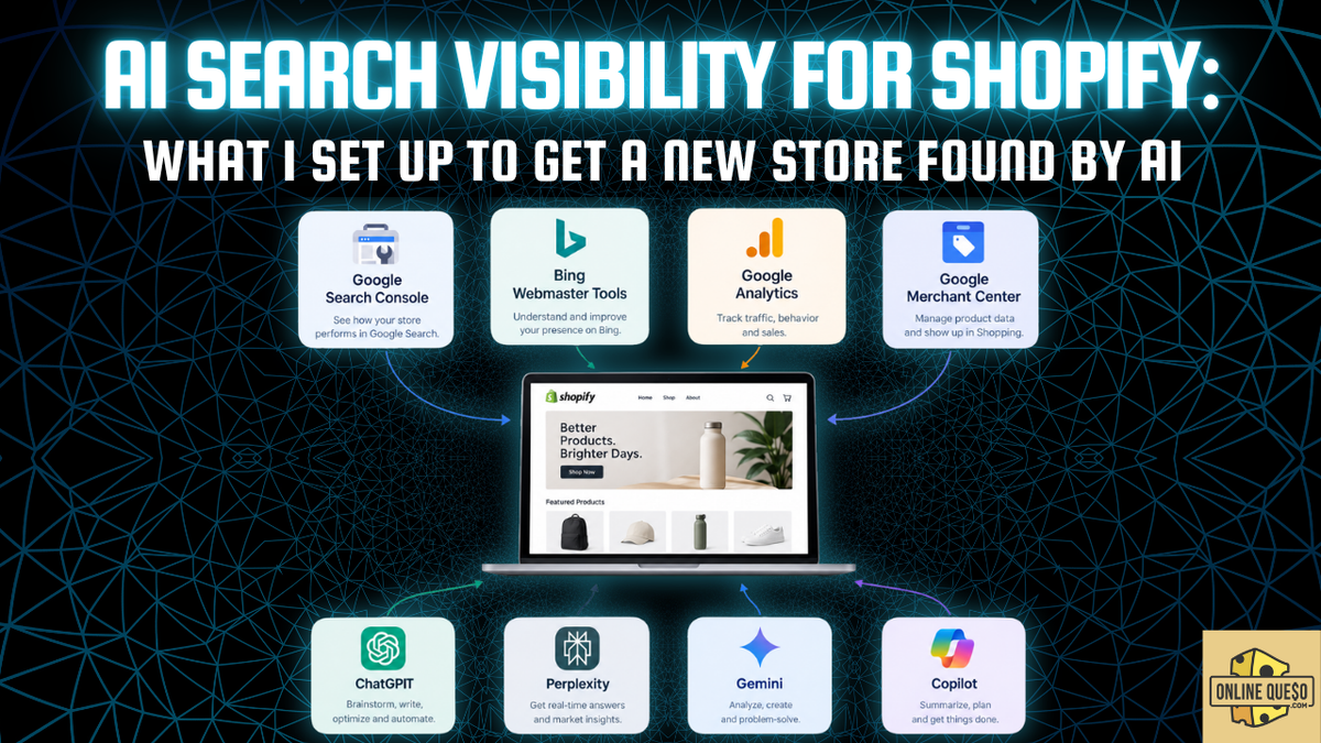 Shopify store dashboard being set up for AI search visibility across Google, Bing and AI engines